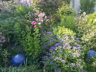 Romantischer Staudengarten