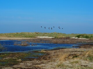 Weltnaturerbe Wattenmeer direkt vor der Haustür