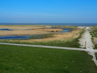 Störtebecker Radweg mit Zugängen zum Strand