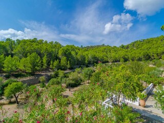 Villa San Telmo Entorno 38