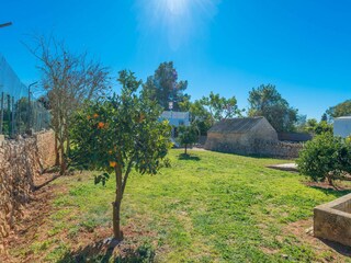 Ferienhaus Llucmajor  28