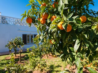 Maison de vacances Llucmajor  24