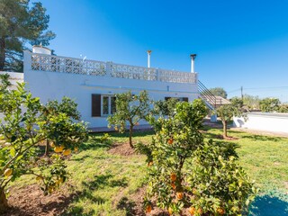 Maison de vacances Llucmajor  11