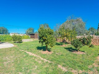 Ferienhaus Llucmajor  25