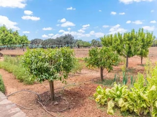 Villa Búger Environnement 29