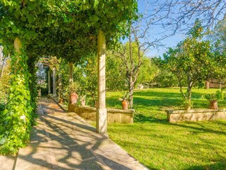 Villa Manacor Enregistrement extérieur 7