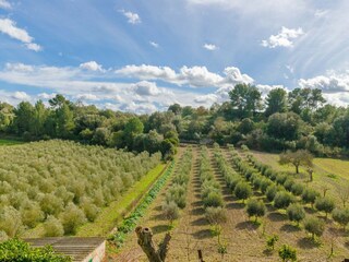 Villa Montuiri Environnement 24