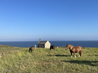 Casa de vacaciones Landéda Grabación al aire libre 1