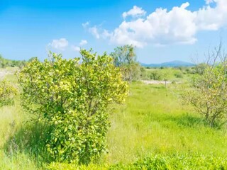 Holiday house Maria De La Salut Environment 30