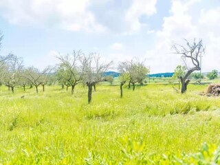 Holiday house Maria De La Salut Environment 26