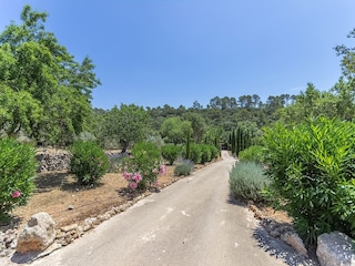 Apartment Costitx  21