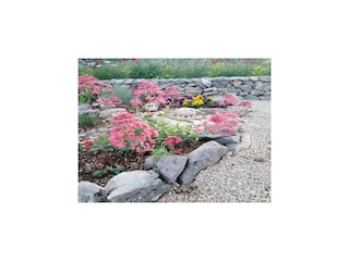 Holiday house Nerežišća Outdoor Recording 7