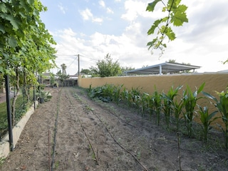 Holiday house Chiclana de la Frontera Environment 34