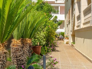 Apartamento Alcudia Grabación al aire libre 8