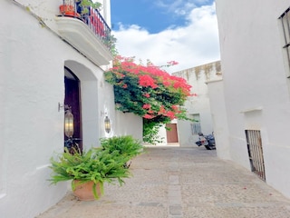 Apartment Vejer de la Frontera Outdoor Recording 1