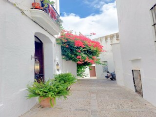 Appartement Vejer de la Frontera Buitenaudio-opname 1