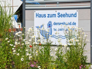 Appartamento Bensersiel Registrazione all'aperto 5