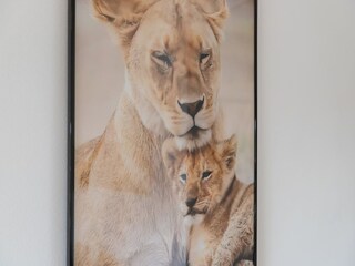 Appartement San Pedro de Alcantara Enregistrement extérieur 11