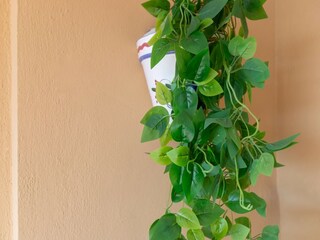 Apartamento San Pedro de Alcantara Grabación al aire libre 19