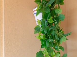 Appartamento San Pedro de Alcantara Registrazione all'aperto 29