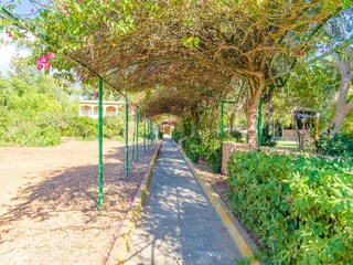 Villa Sant Jordi Environnement 50