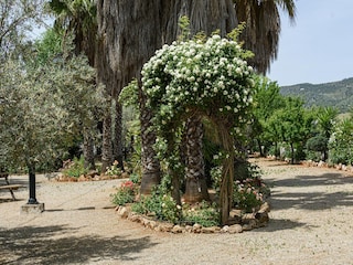 Ferienhaus Sierra De Yeguas Umgebung 62