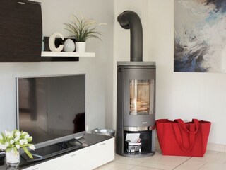 Kaminofen mit Holz