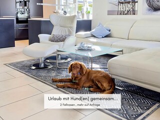 Genieße den Urlaub gemeinsam mit deinen Fellnasen