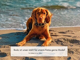 Bodo ist  hier stellvertretend für  eure Fellnasen...