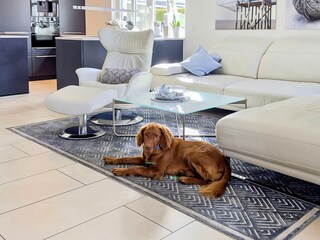 Bis zu 2 Hunde willkommen