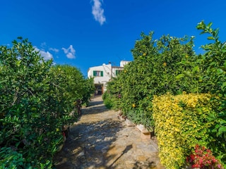 Villa Muro Environnement 38