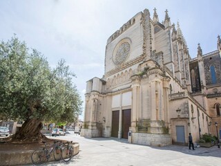 Villa Sant Llorenc des Cardassar Environment 32