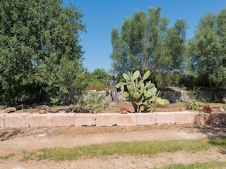 Villa Llubi Omgeving 26