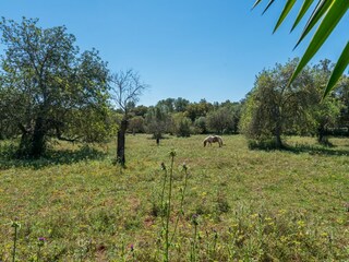 Villa Llubi Ambiente 27