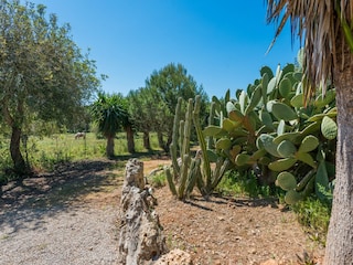 Villa Llubi Omgeving 28