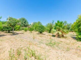 Villa Porreres Enregistrement extérieur 39