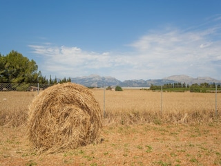 Villa Muro Environment 28