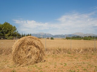 Villa Muro Omgeving 28