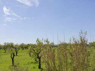 Villa Inca Entorno 37