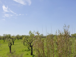 Villa Inca Ambiente 31