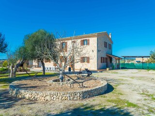 Villa Montuiri Ambiente 37
