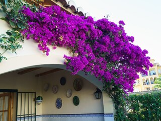 Casa de vacaciones Javea  40