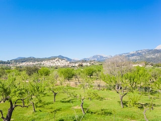 Villa Moscari Environnement 17