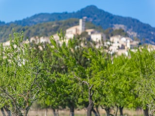 Villa Moscari Ambiente 18