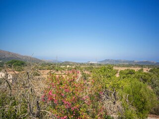 Villa Artà Entorno 30