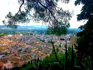 Villa Artà Entorno 31