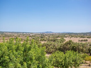 Villa Petra Buitenaudio-opname 36