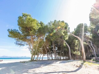 Casa de vacaciones Alcudia  3