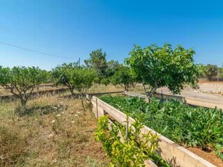 Maison de vacances Algaida Environnement 26