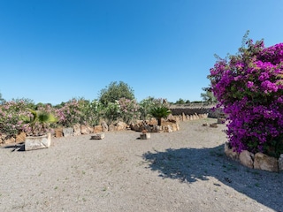 Villa Santanyi Enregistrement extérieur 10